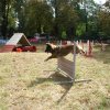 foire-haricots 2011-09-17et18